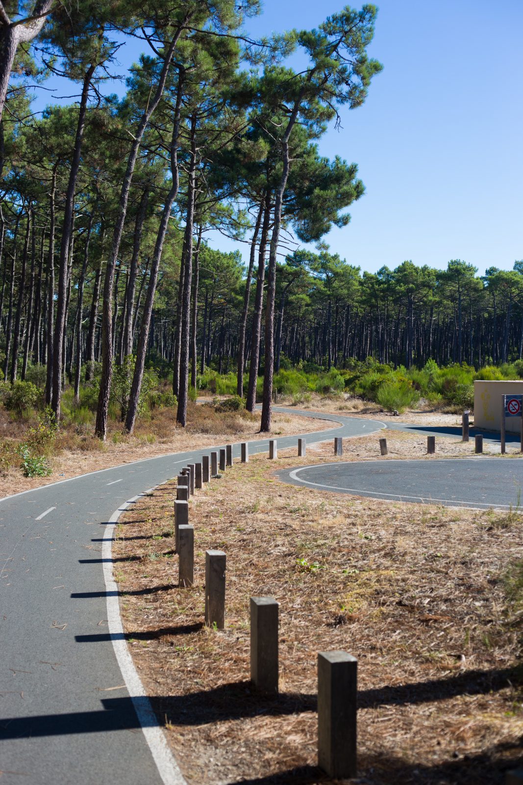 De Bordeaux à Lacanau à vélo – De la ville à la plage