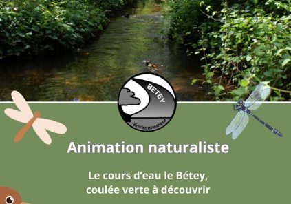 Le cours d’eau le Bétey, coulée verte à découvrir
