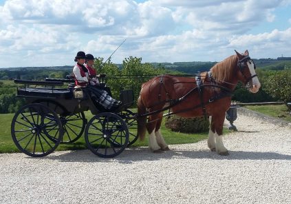 Balade en calèche au Château Picon
