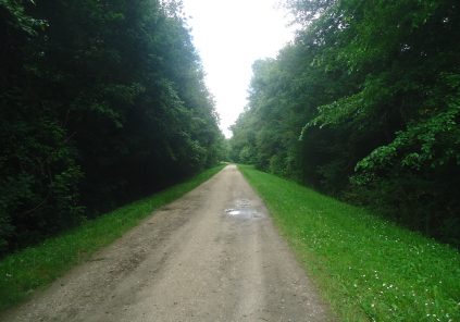 Balade à roulettes : Le marais d’Arcins