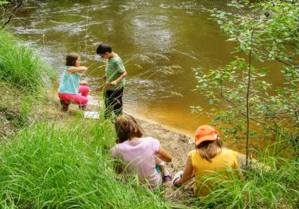 Atelier du petit naturaliste
