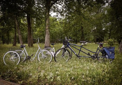 Bassin Loc Bikes
