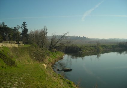 Embouchure du Dropt