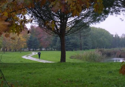 Bois de Bordeaux